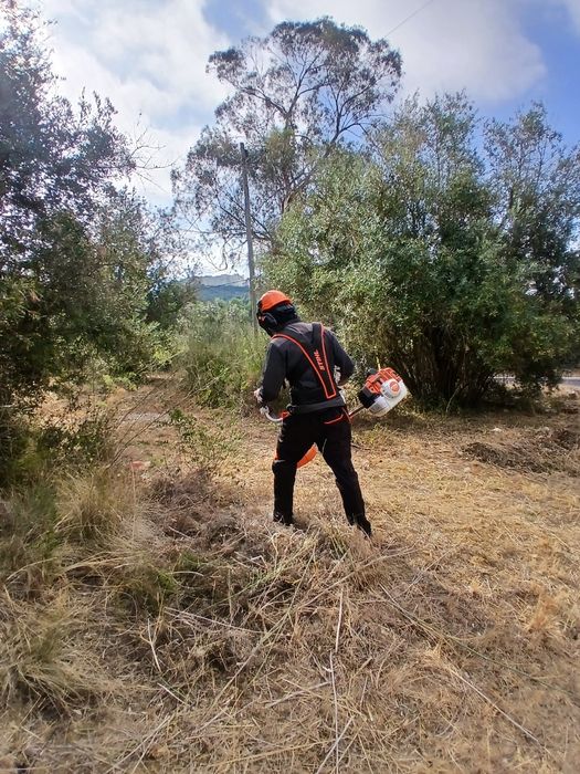 Limpeza de terrenos e serviços agrícolas