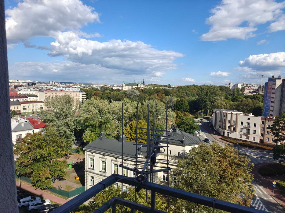 Zdjęcie 8