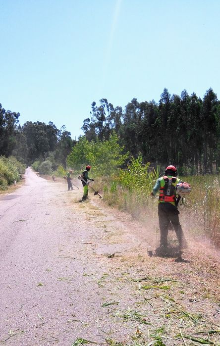 LIMPEZA de Terrenos e manutenção de espaços verdes