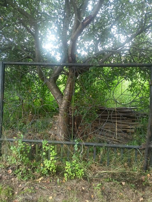 Sprzedam bramke z bramą