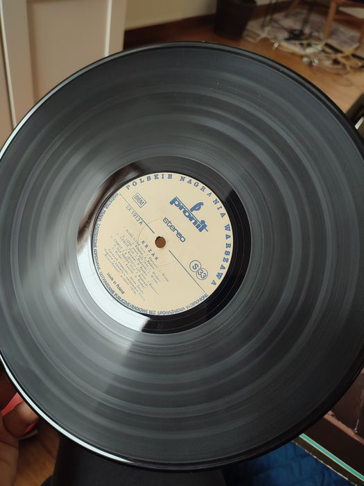 Płyta gramofonowa vinyl winyl Krzak Blues Rock Band