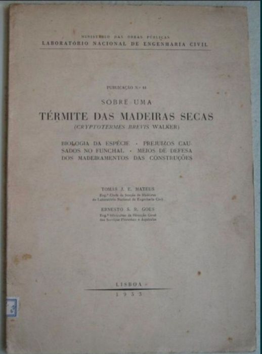 Térmite das Madeiras Secas (LNEC)