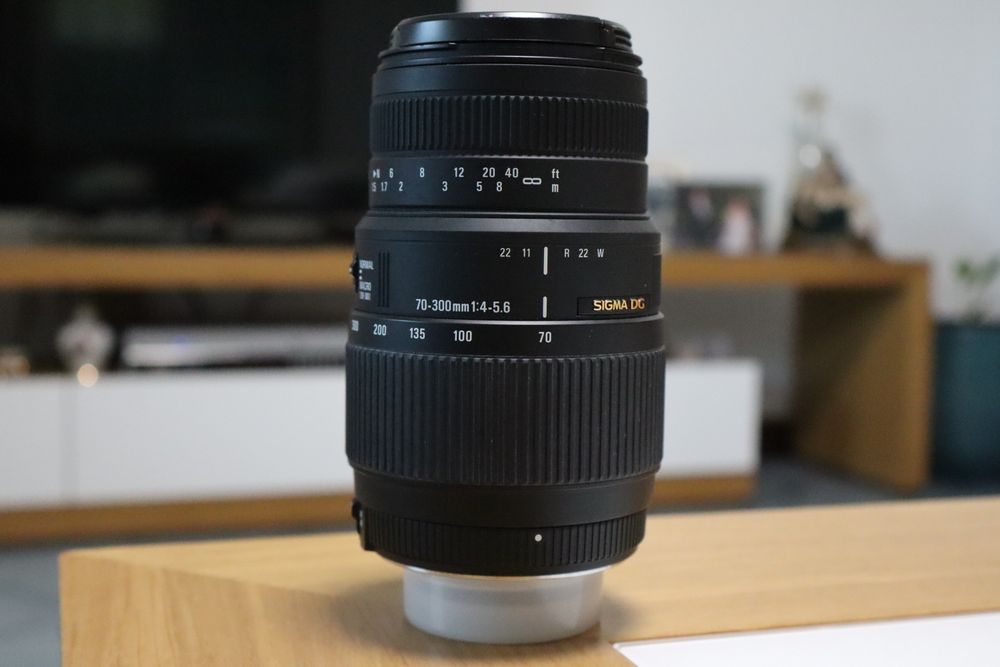 Nikon D7100 + Sigma 70-300mm