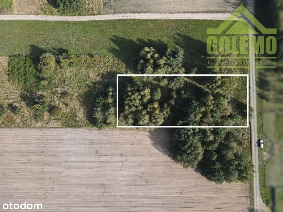 Działka / 1300m2 / Budowlano-Usługowa / Wiercica