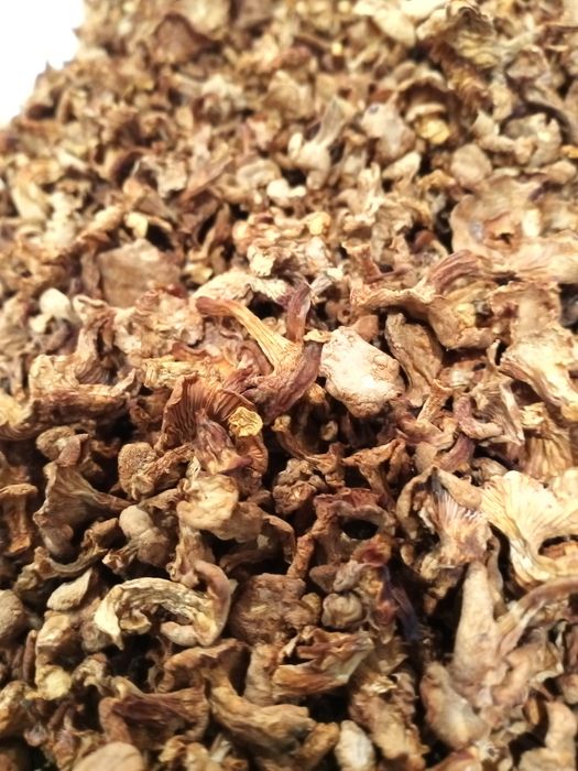 Grzyby suszone kurki tegoroczne