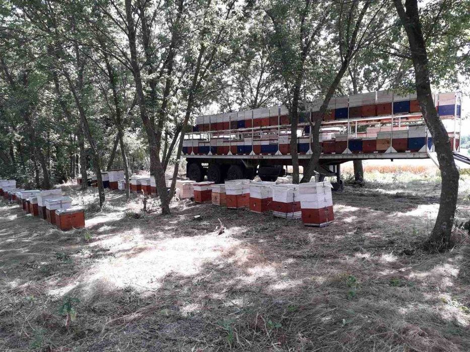 Прецеп для перевезення пасіки