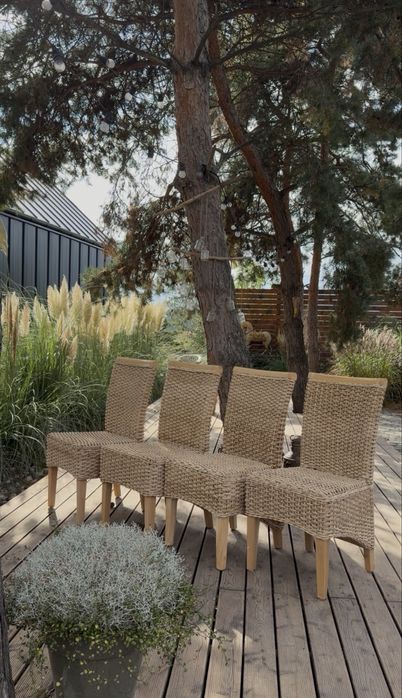 Komplet czterech  krzeseł z lisci bananowca