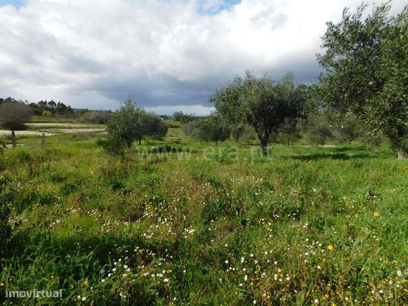 Quintinha / Fundão, Quintas da Torre