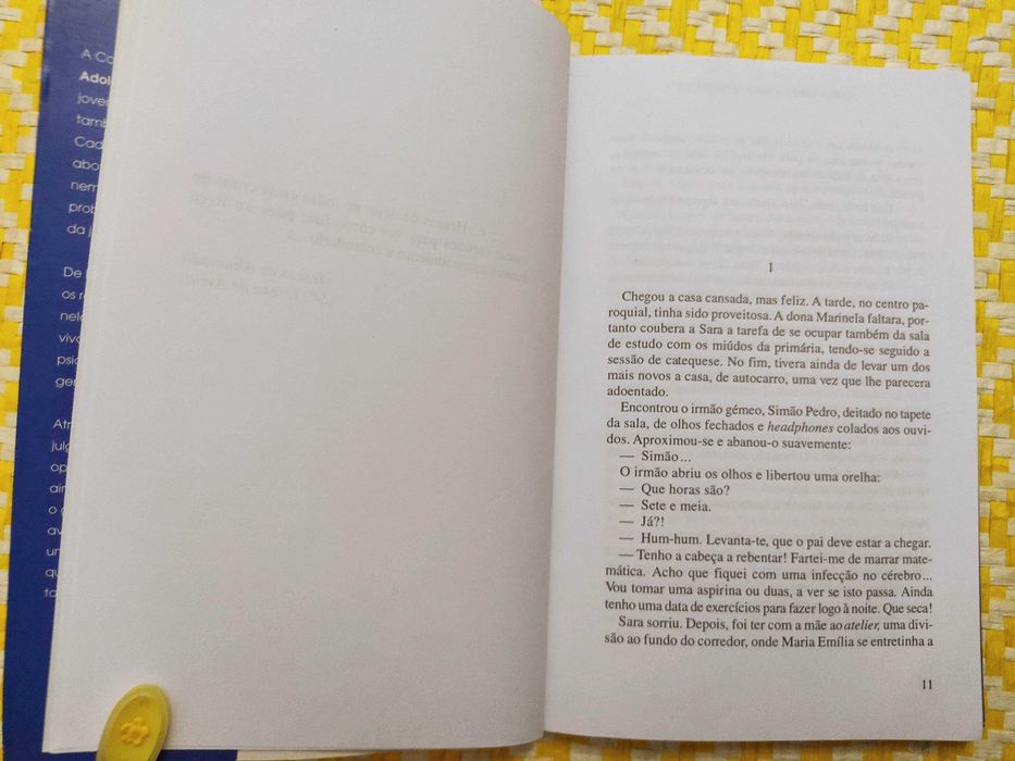 A SARA MUDOU DE VISUAL
de Maria Teresa Maia Gonzalez