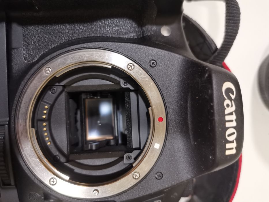 Canon EOS 7D + Grip e oferta de lente