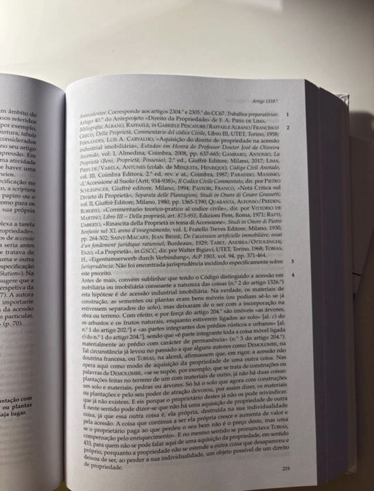 Comentário ao código civil: direito das coisas