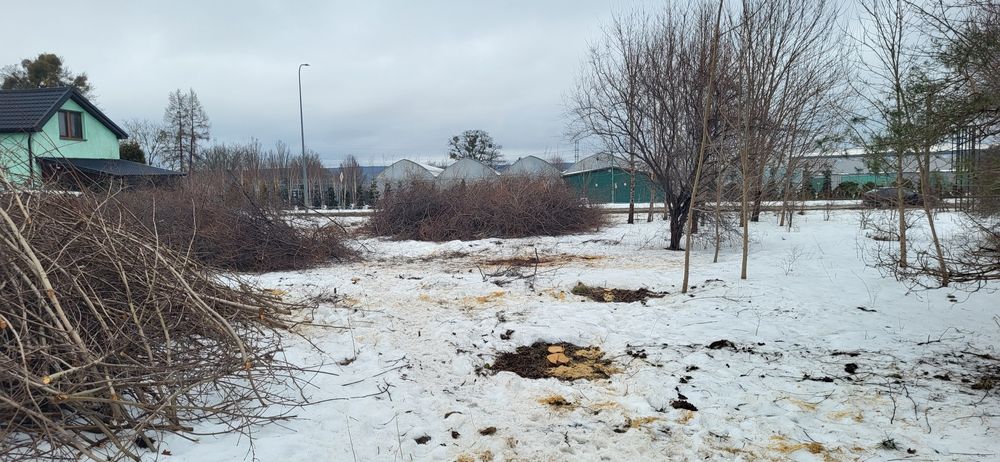 Oddam gałęzie, drewno na opał