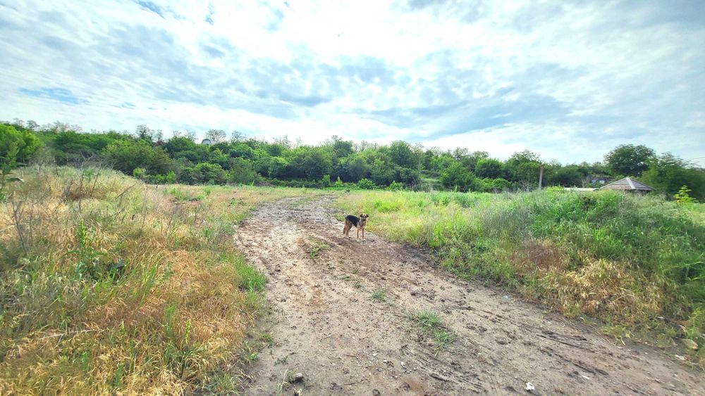 Продаж земельної делянки (11 соток) з ОЗЕРОМ вул. Сонячна.