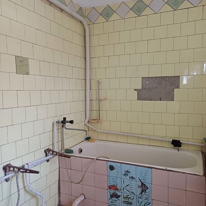 Будинок в центрі смт Софіївка