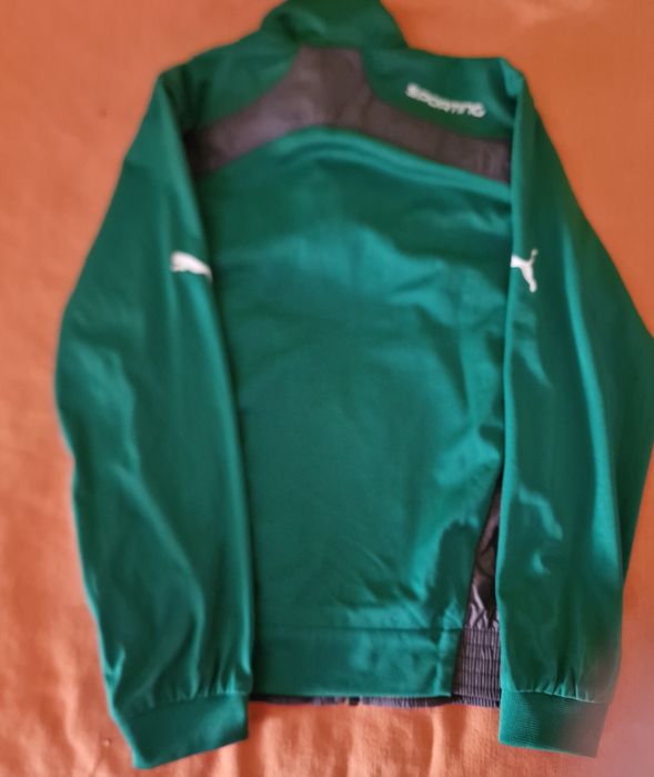 Casaco do Sporting CP