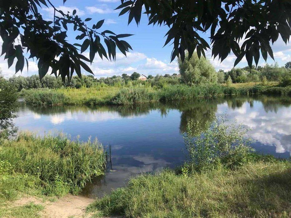 Продаж земельної ділянки 25 соток с.Синява (біля лісу та річки)