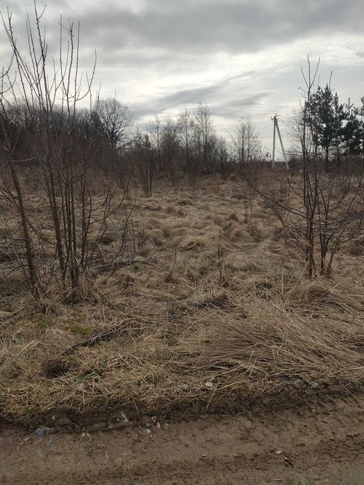 Продаж земельної ділянки  в селі Конопниця Львівської області