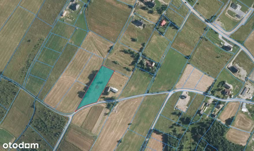 Działka WIDOKOWA w Beskidzie Wyspowym - Pisarzowa koło Limanowej