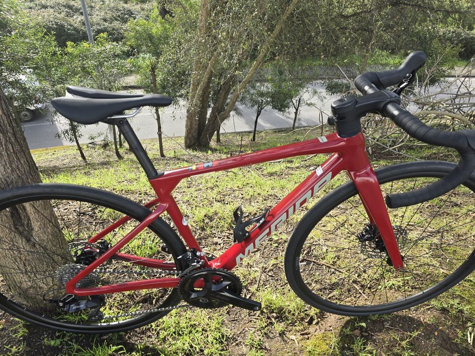 Merida de carbono de disco de servico 12x2v