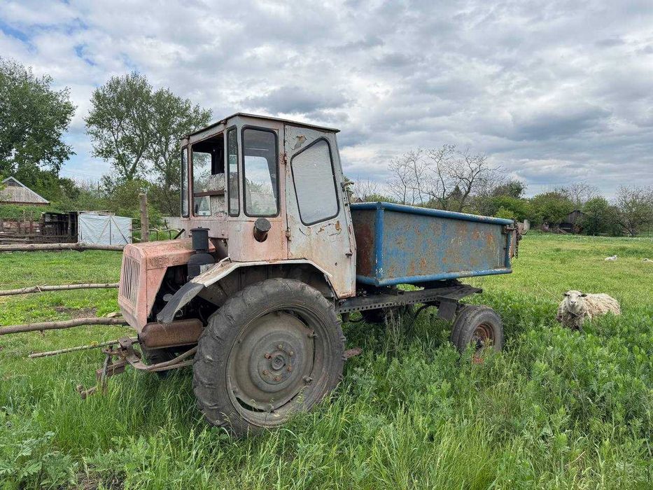 Продам трактор Т-16