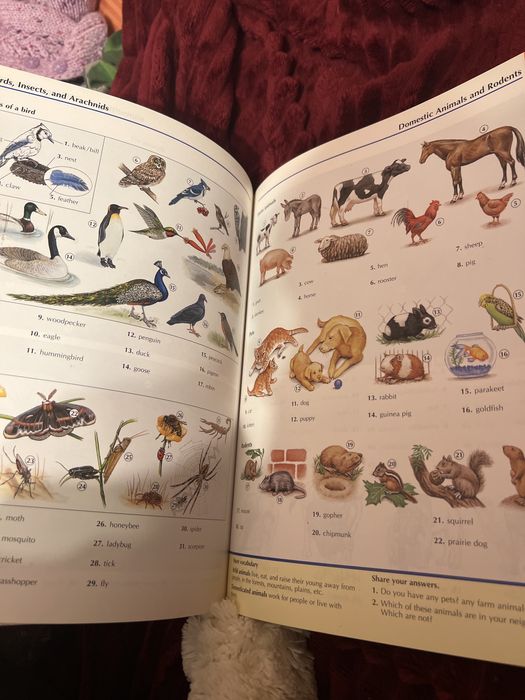 Книга англійською мовою