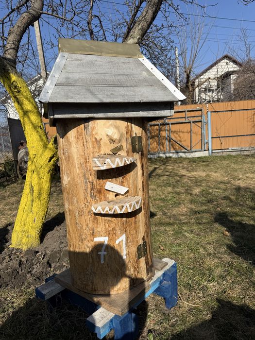 Продам вулик -колоду для дикого меду