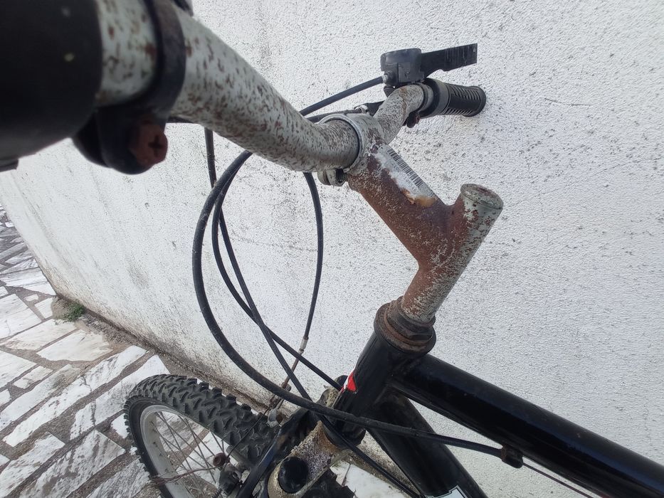 Bicicleta de adulto