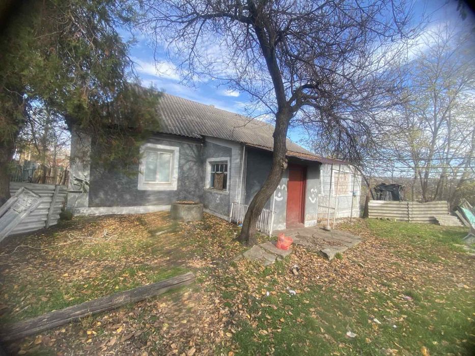 Будинок в Арбузинкі