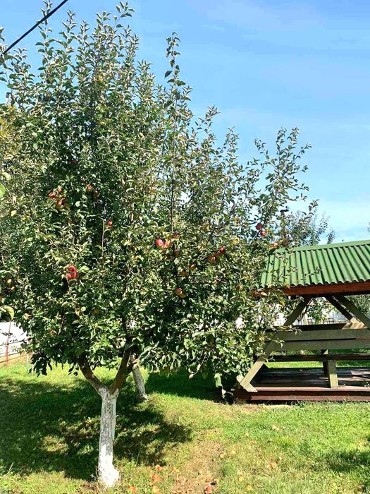 ПРОДАЖ ЕКО-КОМПЛЕКСА Piknik Park з МЕГА локацією / обмін на квартиру