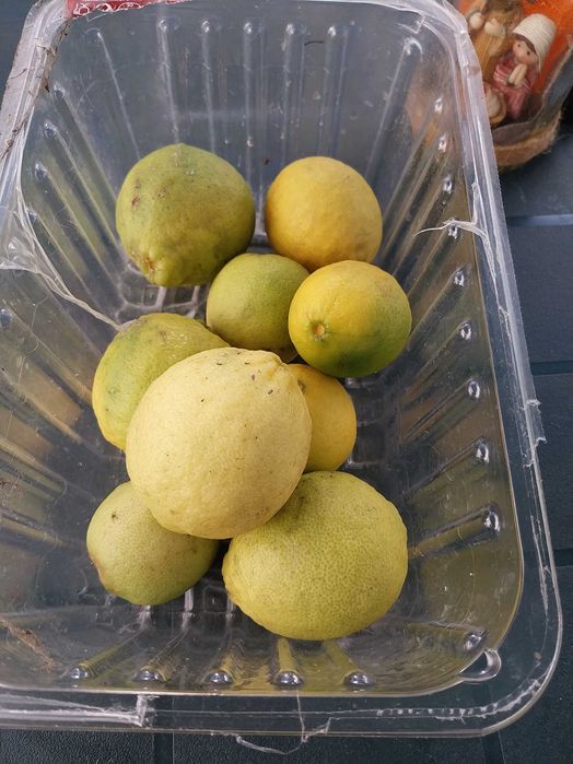 Vendo limas sumarentas
