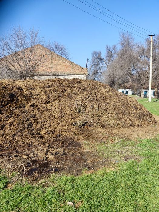 Продам навоз в большом количестве