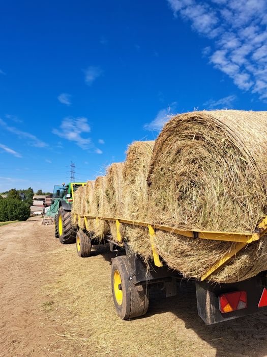 Baloty siana dla koni z transportem / siano dla koni bydła gryzoni