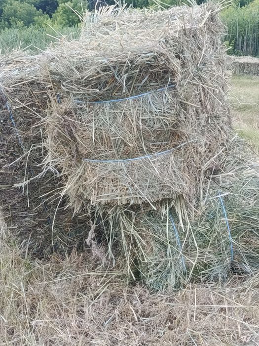 Сіно в тюках лугове