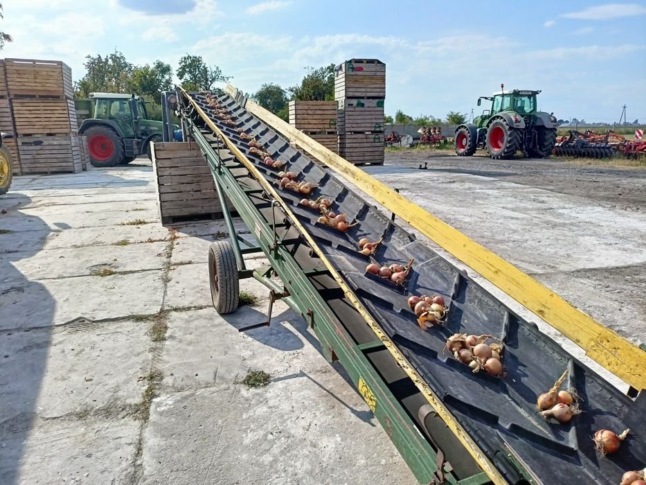 Taśmociągi,  sztuki 7 m 8,5m, 6m.9mm