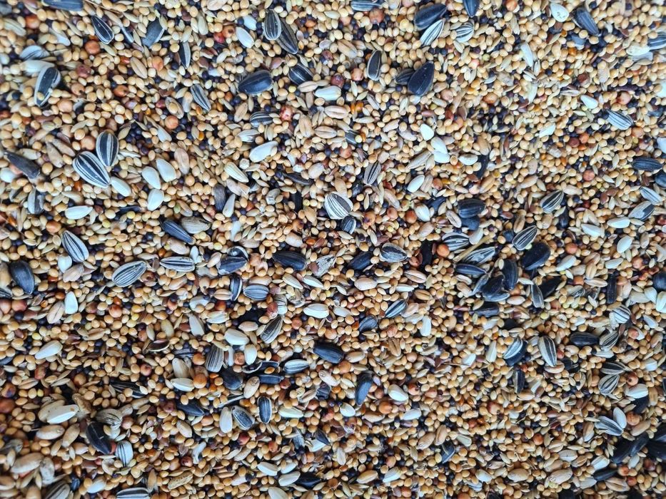 Karma dla małych papug z rzepikiem i kanarem // 20 kg