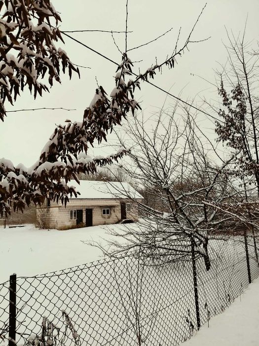 Działka z zabudowaniami / Roztocze