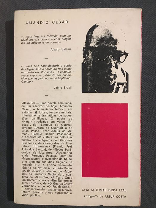 Obras de Amândio César
