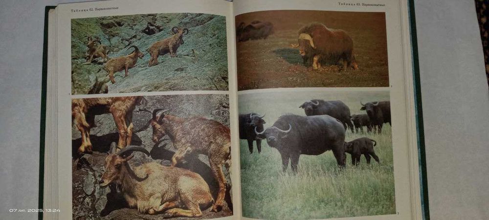 Жизнь животных в 7-ми томах
