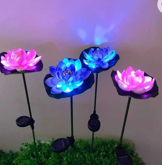 Solar-Ogrod,,kwiat lotosu