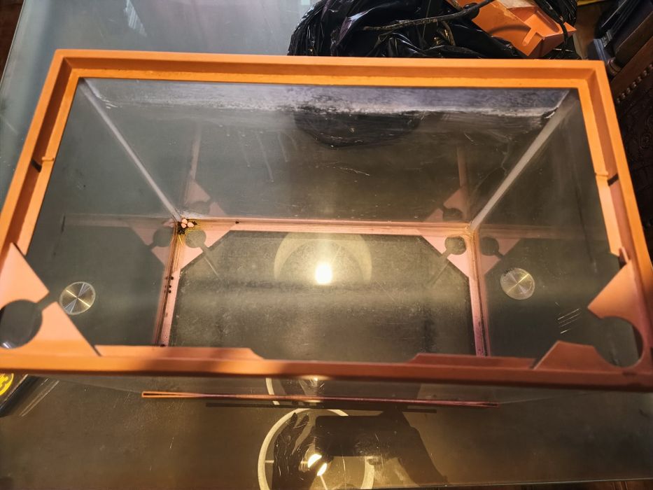 Aquário de peixes varidados