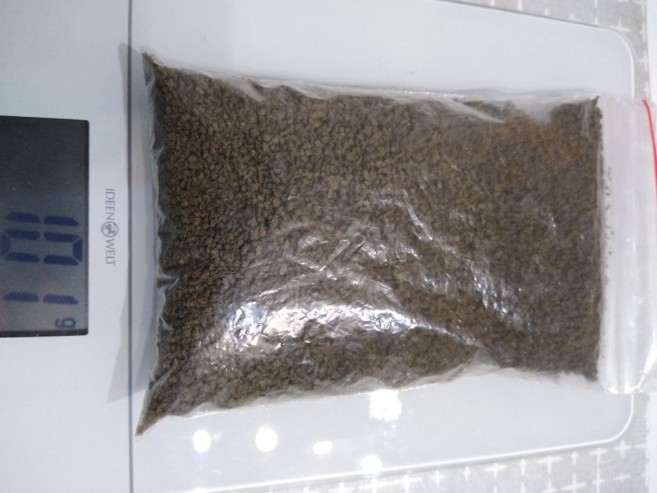 Spirulina pokarm dla ryb