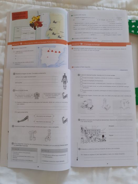 LIVRO DE FICHAS
Alfa - Estudo do Meio 4 - 4.º Ano