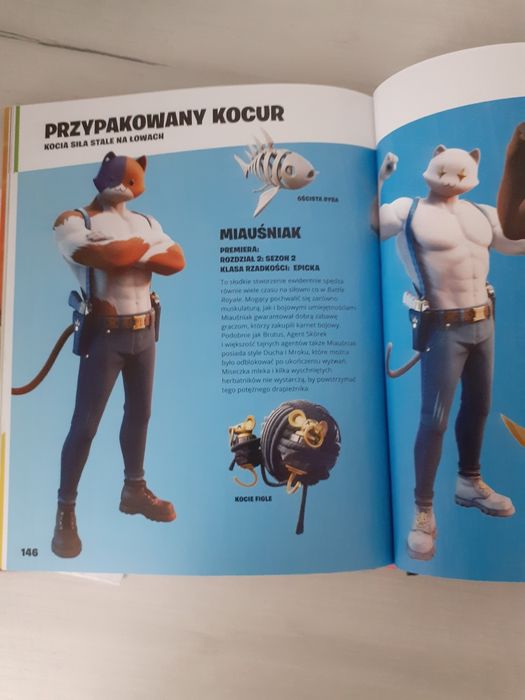 Oficjalny przewodnik Fortnite - STROJE 2