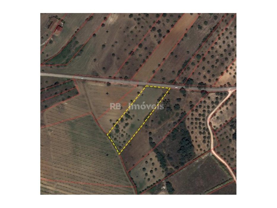 Terreno rústico com 4.080m2 - Soudos, Torres Novas