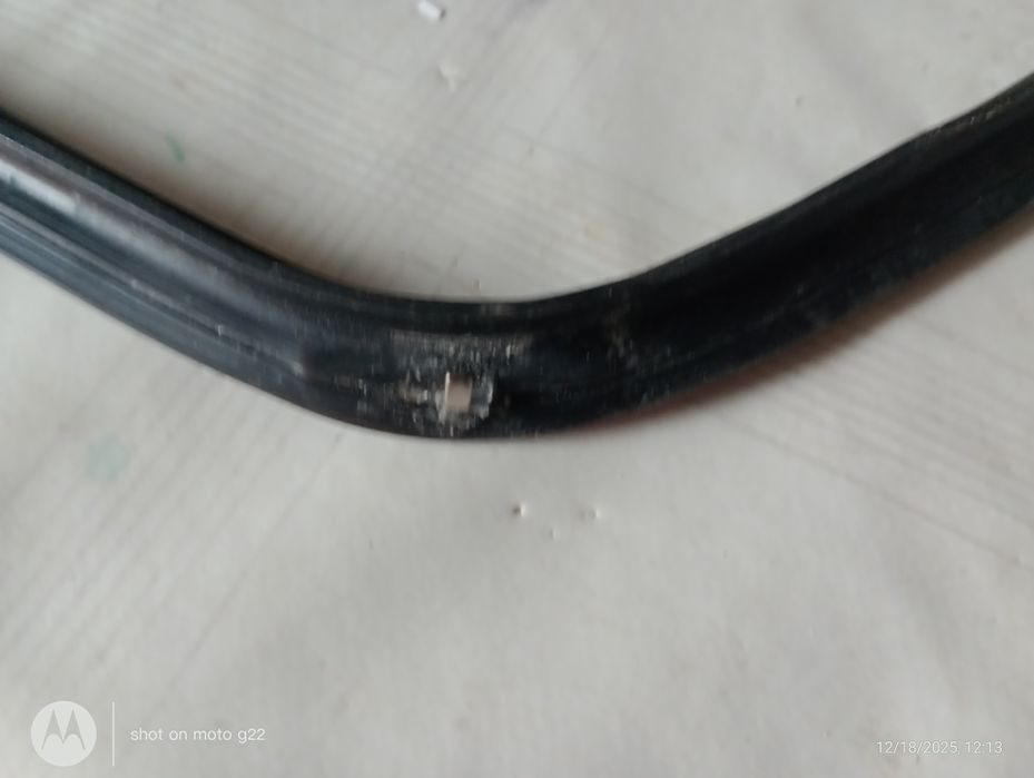 Oryginał Uszczelka piernika Amica