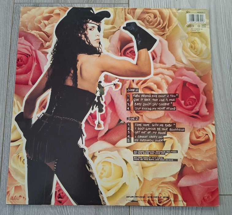 Dead Or Alive - Nude