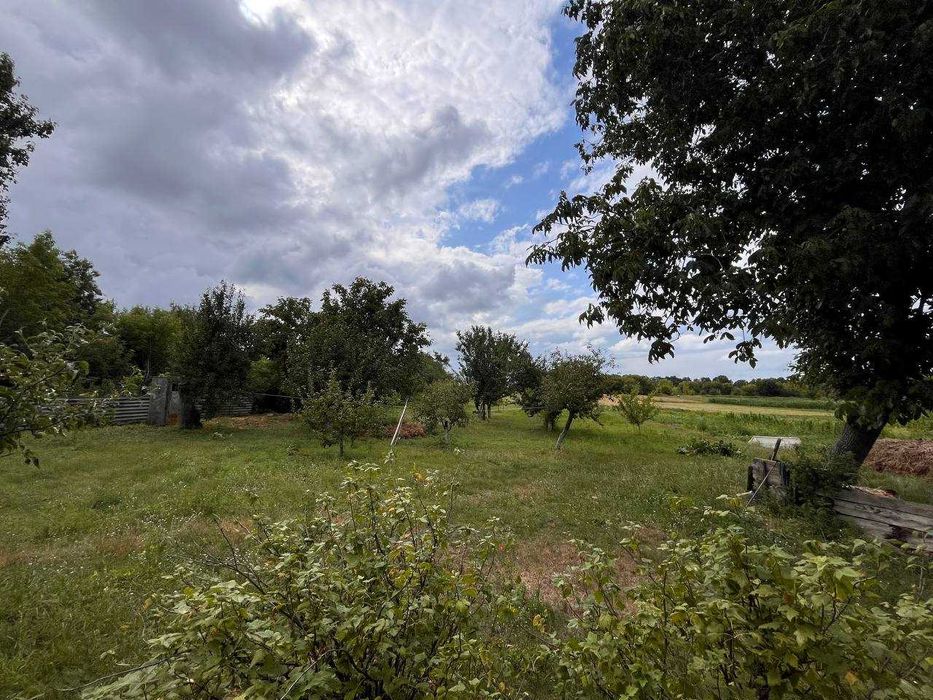 Продам будинок у затишному місці з власним садом