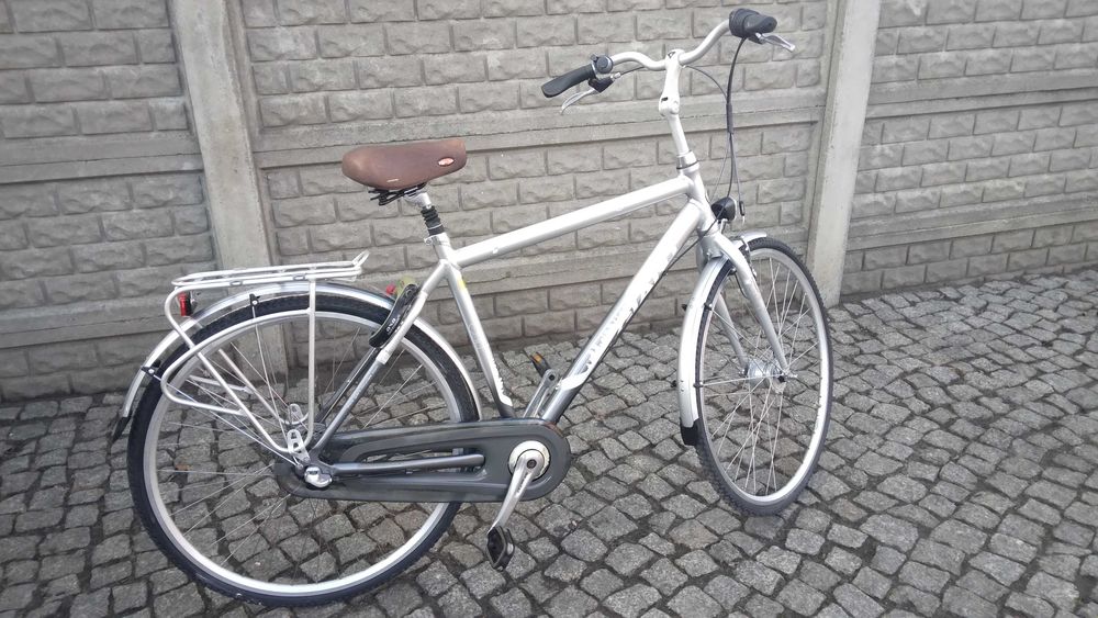 Rower holenderski Giant