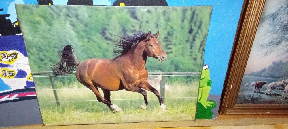 SKATE LONGBOARD. 75x25Cm Bons Tudo. Com 2 Fotos