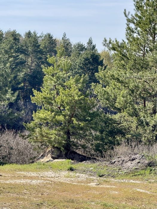 ‼️Ділянка на березі Київського Моря у найпрестижнішому КМ RivieraVillagе